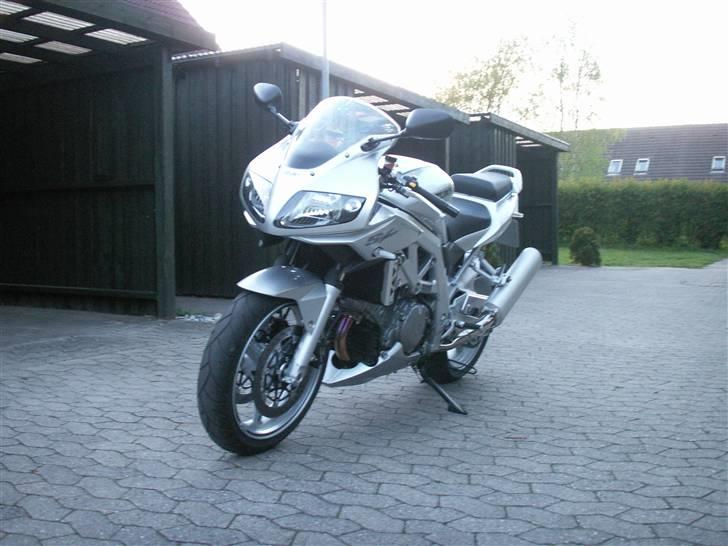 Suzuki Sv 1000s billede 5