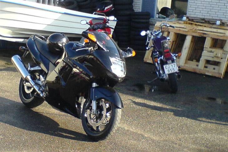 Honda CBR 1100XX Blackbird "Solgt" - Klar til afhentning billede 3
