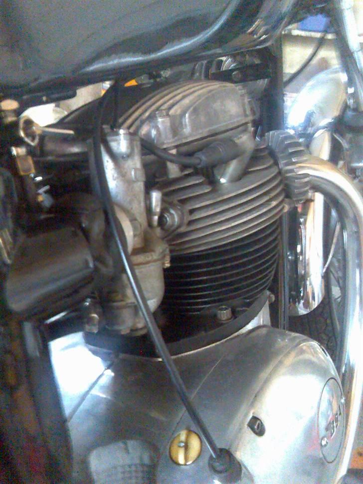 BSA A65 Lightning (Til Salg) billede 8