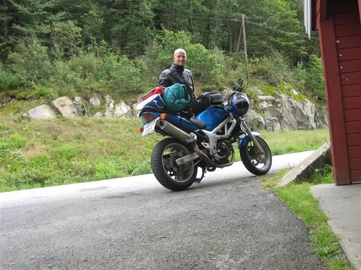 Suzuki SV650 billede 7