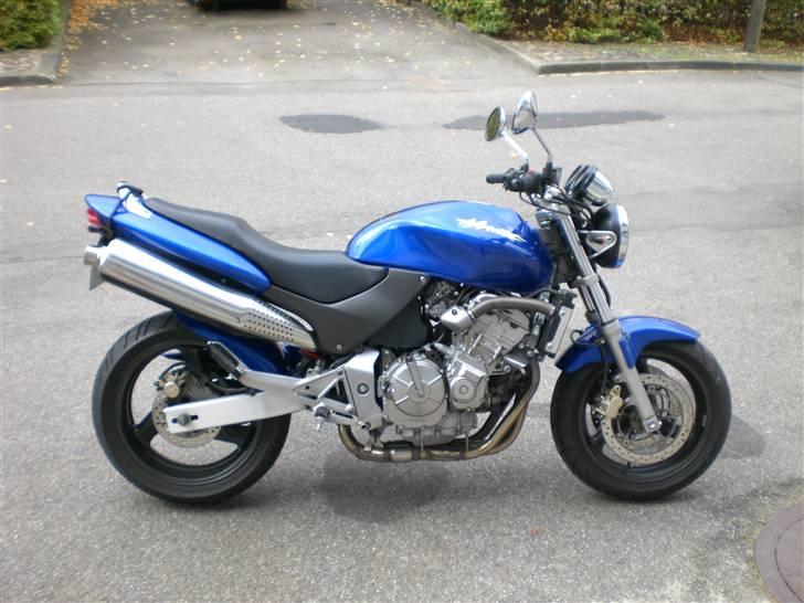 Honda cb 600 f hornet - Efterår 07 billede 3