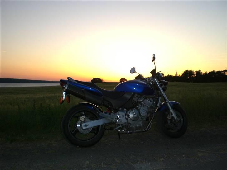 Honda cb 600 f hornet - juni 08 billede 4