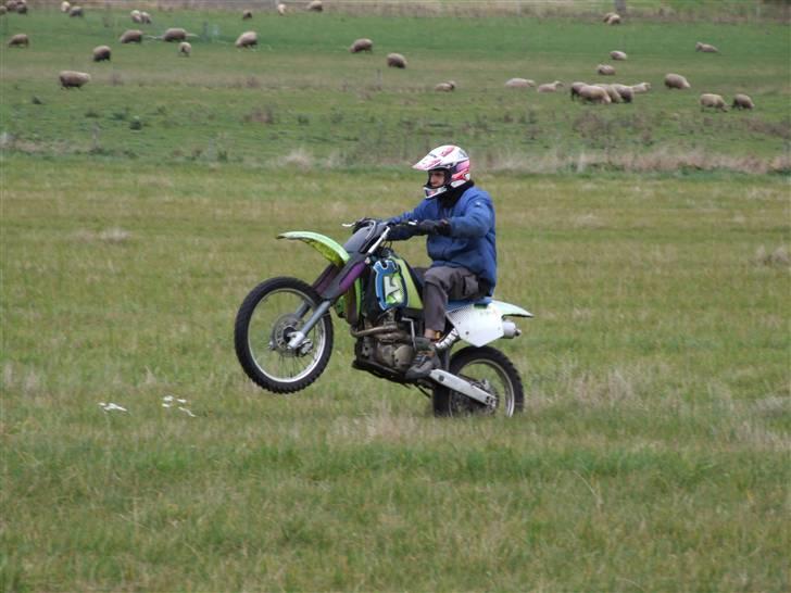 Husqvarna TC 610 - Mig så tager billede af min kammy prøver dyret for første gang. billede 3