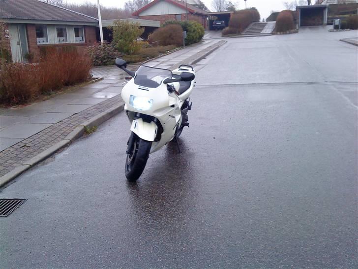 Honda cbr (TIL SALG) billede 3