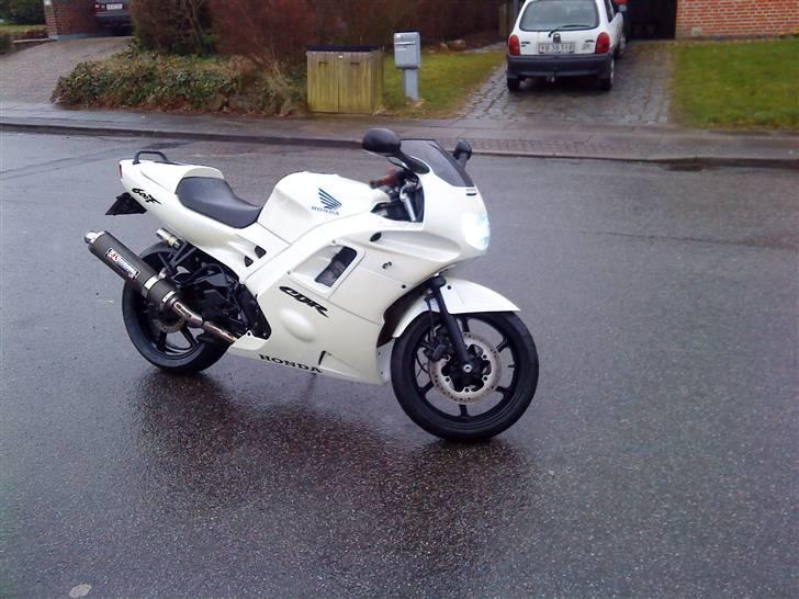 Honda cbr (TIL SALG) - før billede 6