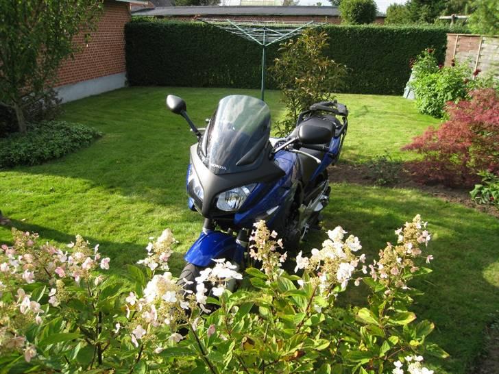 Honda CBF 600 SA [SOLGT] - Paparazzi 3 billede 9