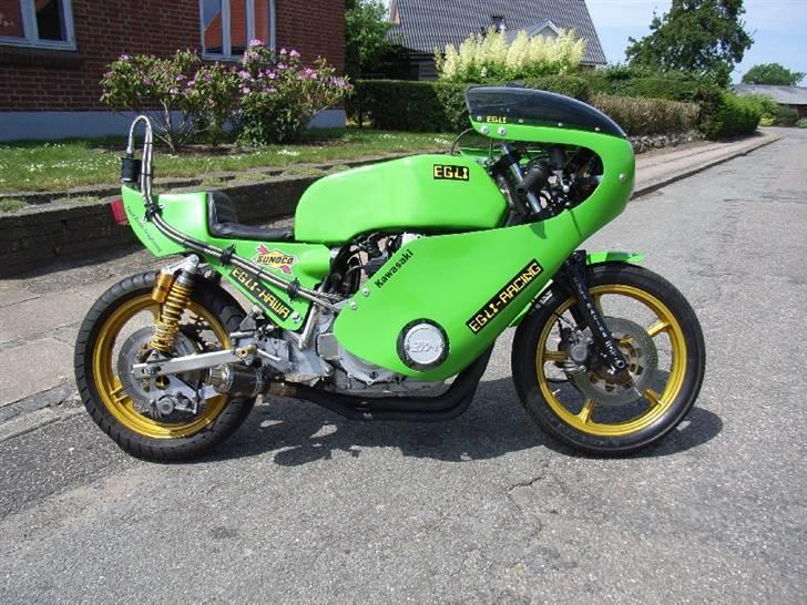 Egli Bonneville - Kawa green (and mean) billede 7