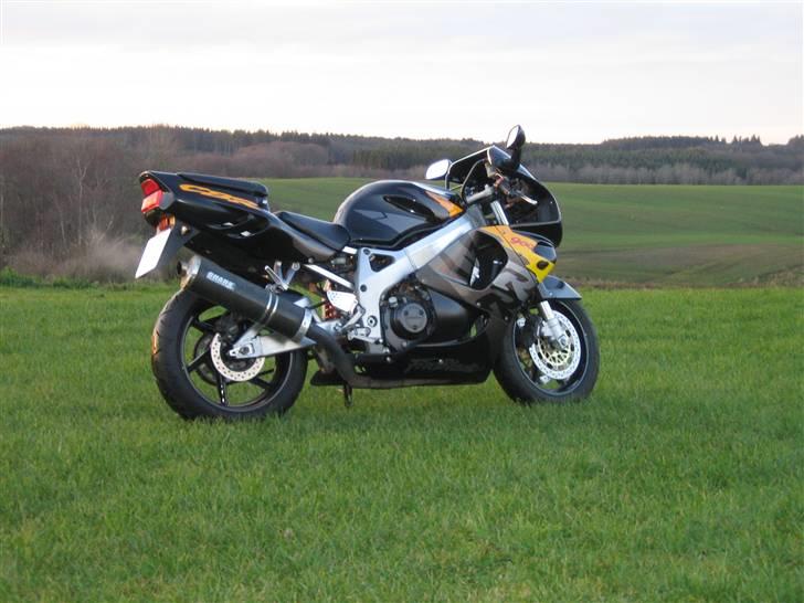 Honda CBR 900 Fireblade SC33 billede 1