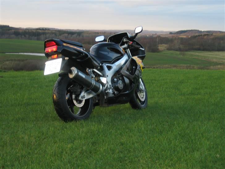 Honda CBR 900 Fireblade SC33 billede 4