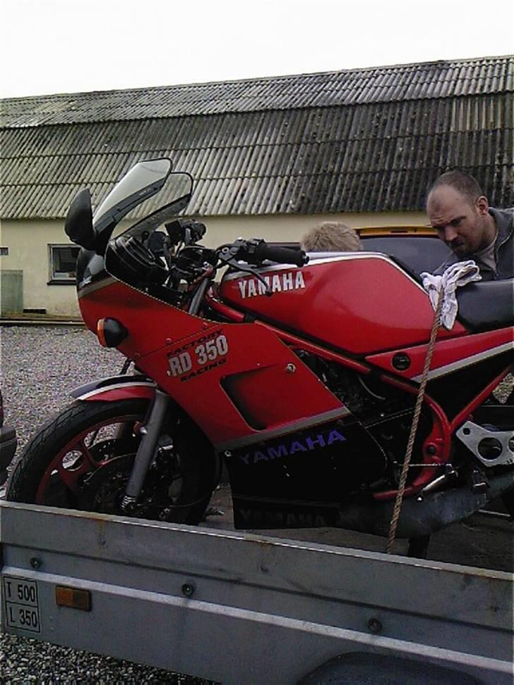 Yamaha RD 350 31K billede 6