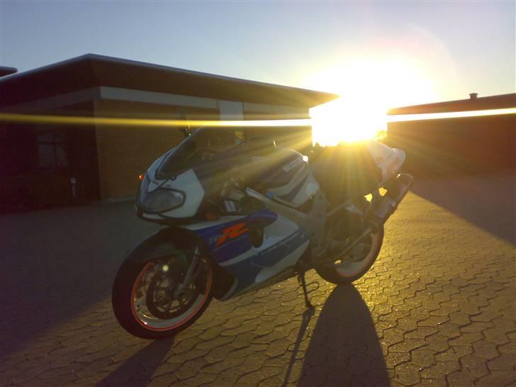 Suzuki TL1000R billede 1