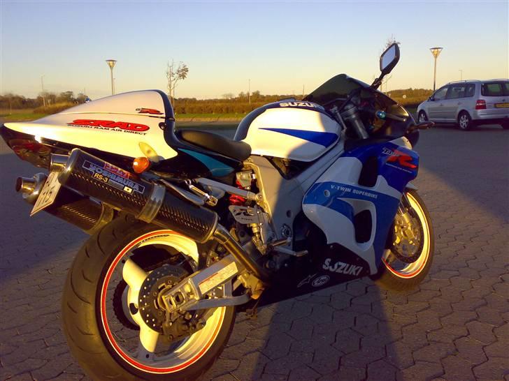 Suzuki TL1000R billede 4