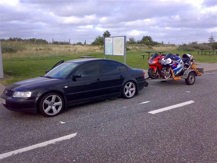 Suzuki TL1000R billede 5