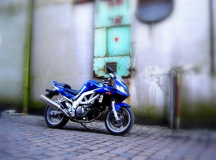 Suzuki Sv 650s (solgt) billede 3