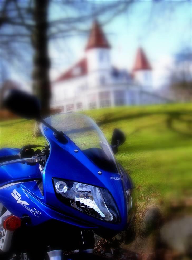 Suzuki Sv 650s (solgt) billede 9