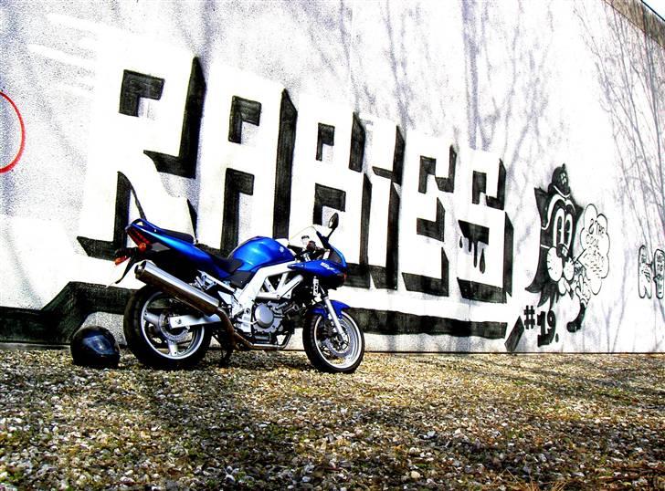 Suzuki Sv 650s (solgt) billede 13