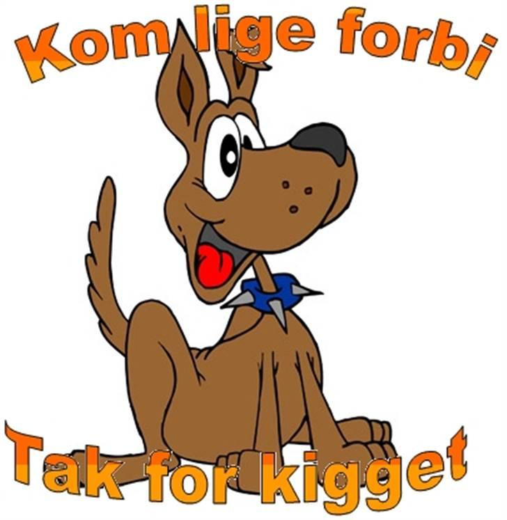 Yamaha xvs 1100 dragstar billede 7