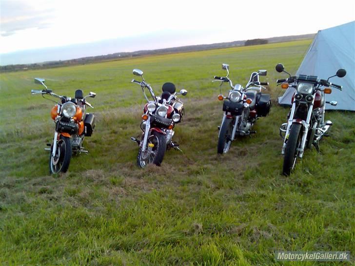Yamaha xvs 1100 dragstar billede 10