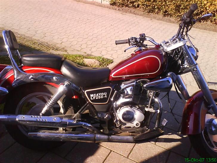 Jinlun JL-150 billede 5