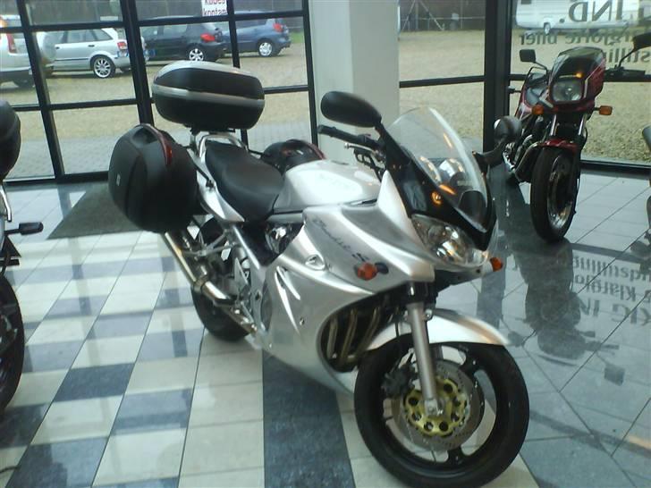 Suzuki GSF 600 Bandit billede 4