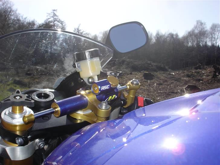 Yamaha R-Sexy billede 6