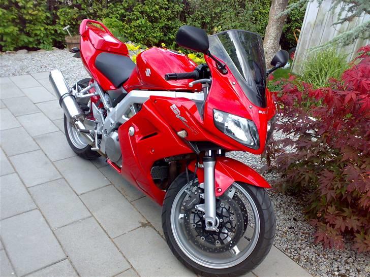 Suzuki SV 1000 S billede 1