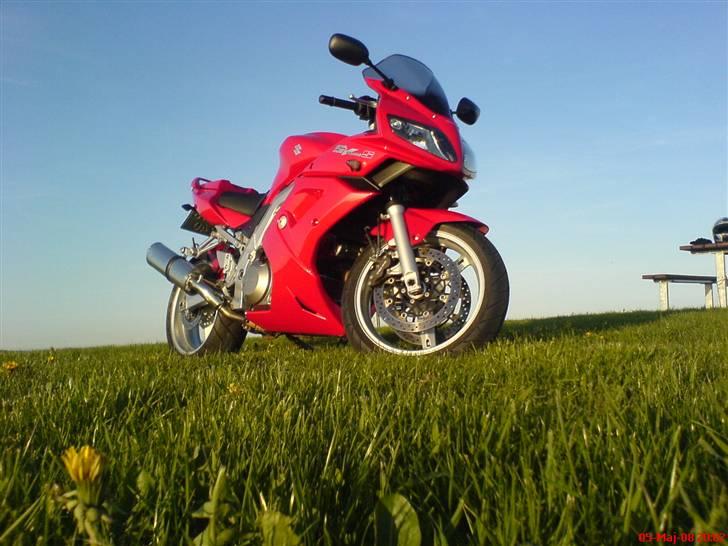 Suzuki SV 1000 S billede 2