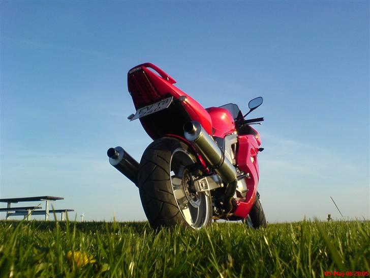 Suzuki SV 1000 S billede 3