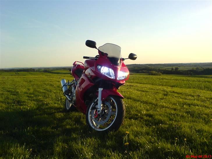 Suzuki SV 1000 S billede 4