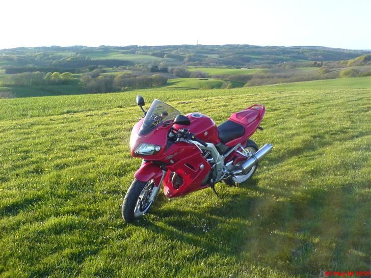 Suzuki SV 1000 S billede 8