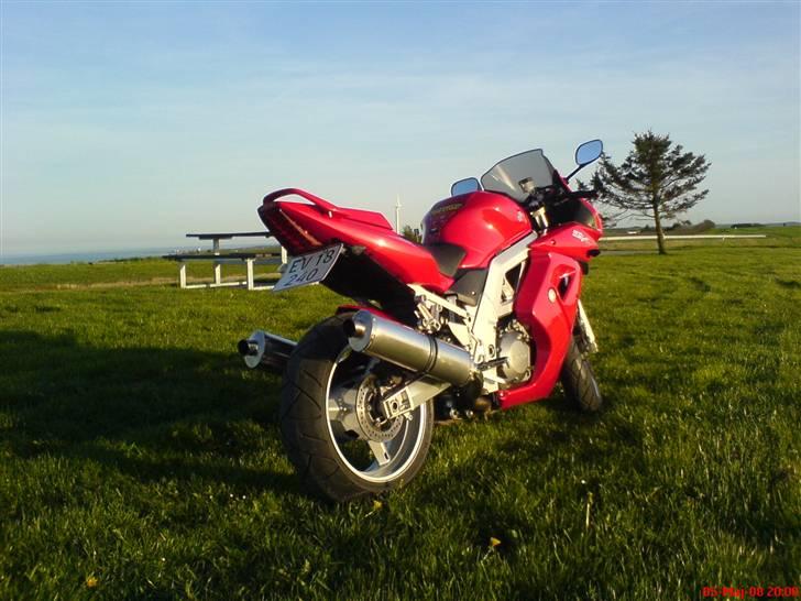 Suzuki SV 1000 S billede 10
