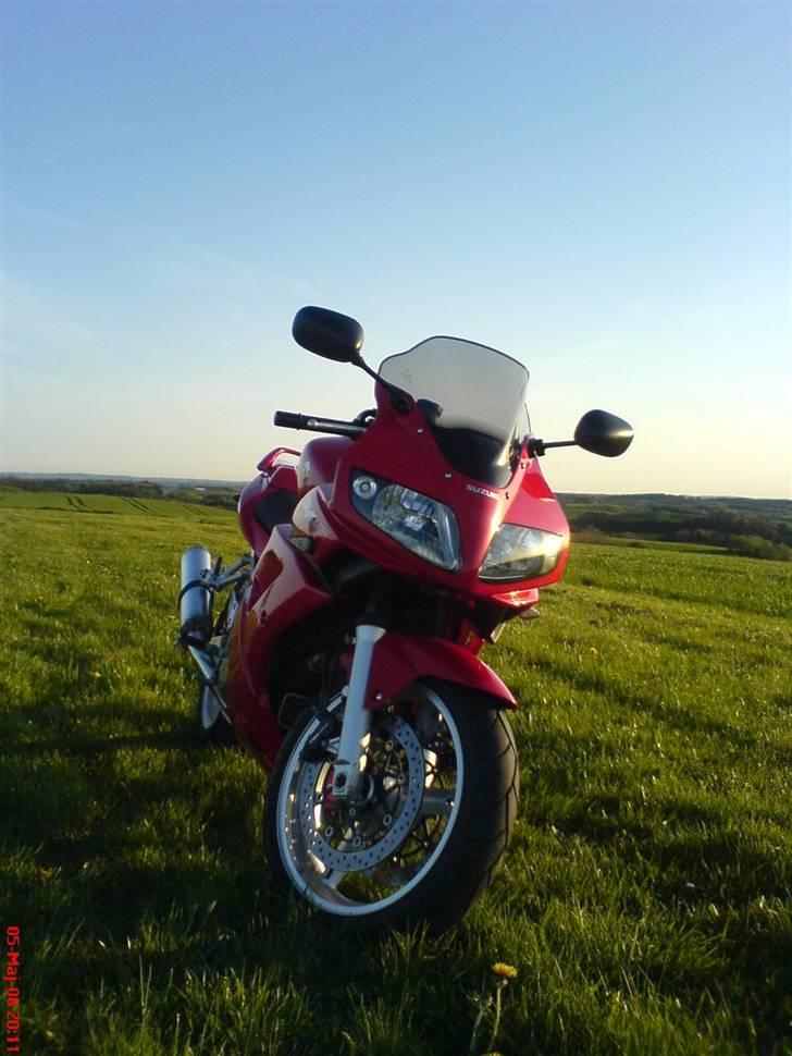 Suzuki SV 1000 S billede 18