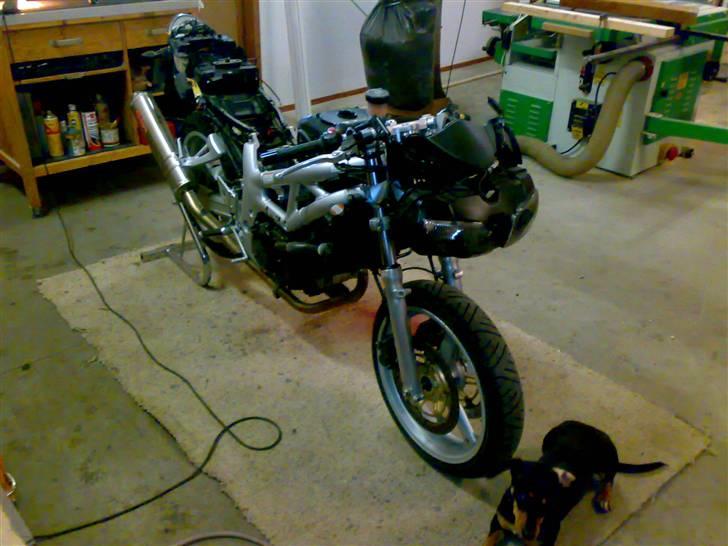 Suzuki SV 650S (SOLGT) billede 8