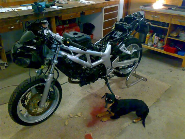 Suzuki SV 650S (SOLGT) - Adskilt for rengøring og maler. billede 9