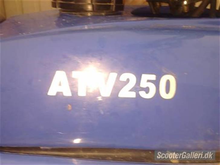 Aprilia atv 250 cc billede 4