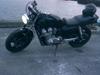 Honda Cb 900 Bol d`Or .