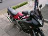 Suzuki GS 500 E (F-model) [Tidl. motorcykel]