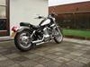 Lifan Ledow Borelli