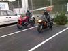 Honda CBR 600 R