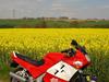 Honda VFR 750F *Solgt*