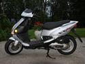 PGO T-Rex 150
