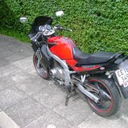 Suzuki GS 500 E (F-model)