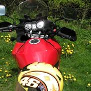 Suzuki dl 650 v-strom