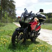 Suzuki dl 650 v-strom