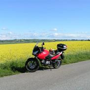 Suzuki dl 650 v-strom