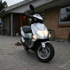 PGO T-Rex 150