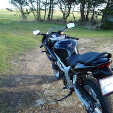 Suzuki sv650