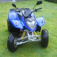 Polaris Phoenix 