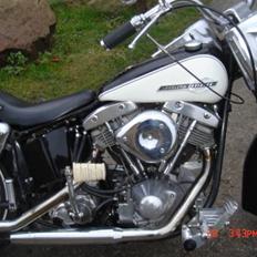 Harley Davidson Duo Glide