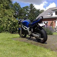 Suzuki SV 650 N (Solgt)